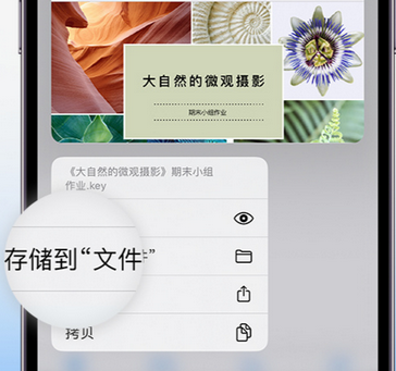 明溪apple维修中心分享iPhone文件应用中存储和找到下载文件