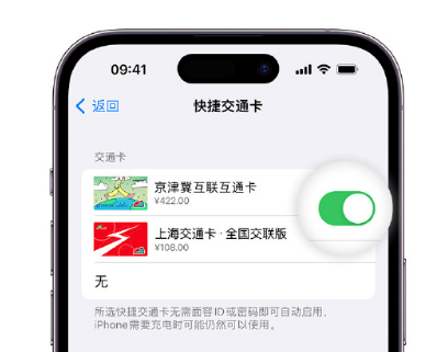 明溪apple维修点分享iPhone上更换Apple Pay快捷交通卡手绘卡面 