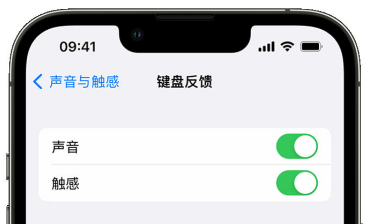 明溪苹果手机维修分享iPhone 14触感键盘使用方法 