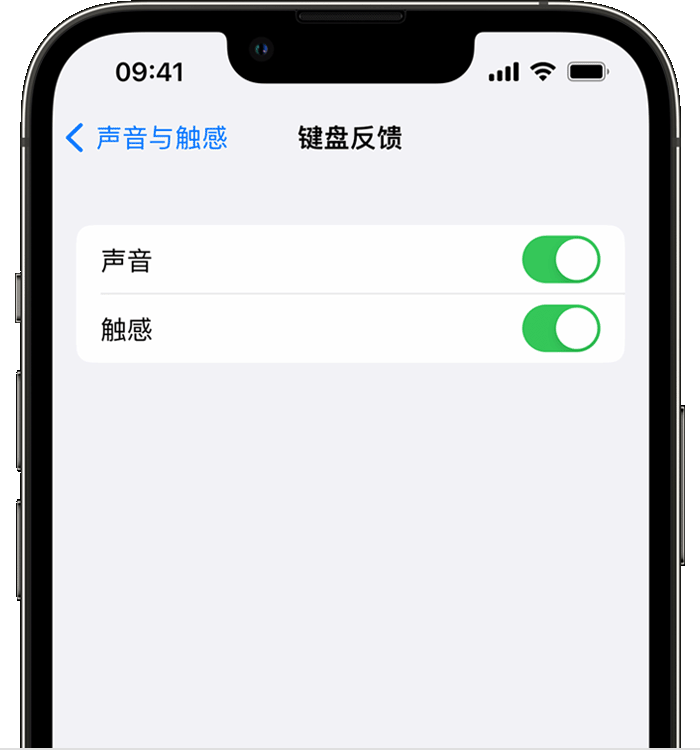 明溪苹果14维修店分享如何在 iPhone 14 机型中使用触感键盘 