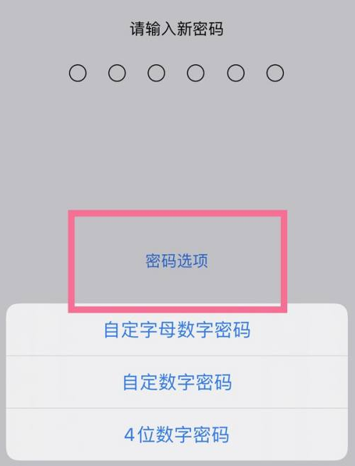 明溪苹果14维修分享iPhone 14plus设置密码的方法 