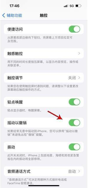 明溪苹果手机维修分享iPhone手机如何设置摇一摇删除文字 